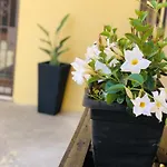 Апартаменты Casa Altoliva *
