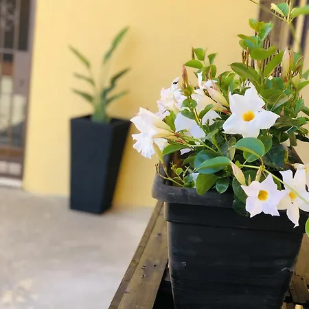 Appartement Casa Altoliva *
